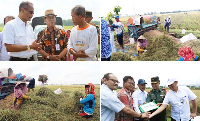 Agung Hendriadi: "Petani dan Distan Lapor Dandim Kalau Panen, Bulog Siap Beli Gabah"